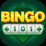 BINGO 101Game